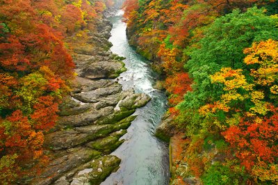 🏞️ 다카쓰도 협곡(타카츠도쿄) 이미지 2